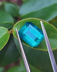 Fine quality loose Mizo mine Colombian emerald on a tree leave for color comparison
