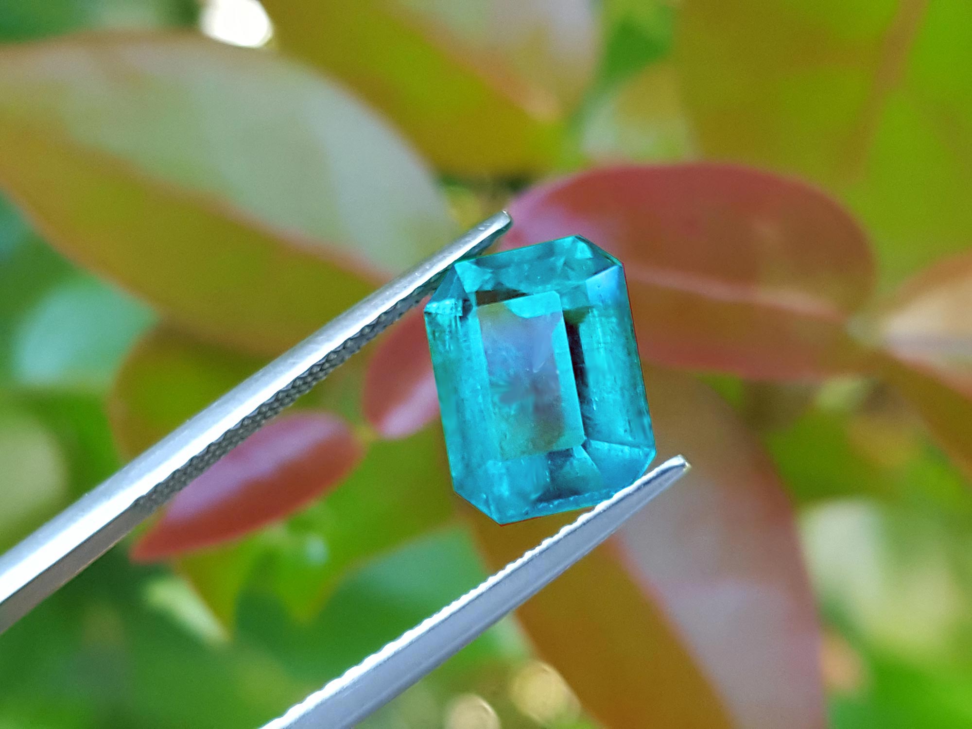Fine quality loose Mizo mine Colombian emerald on red leaves for color contraste