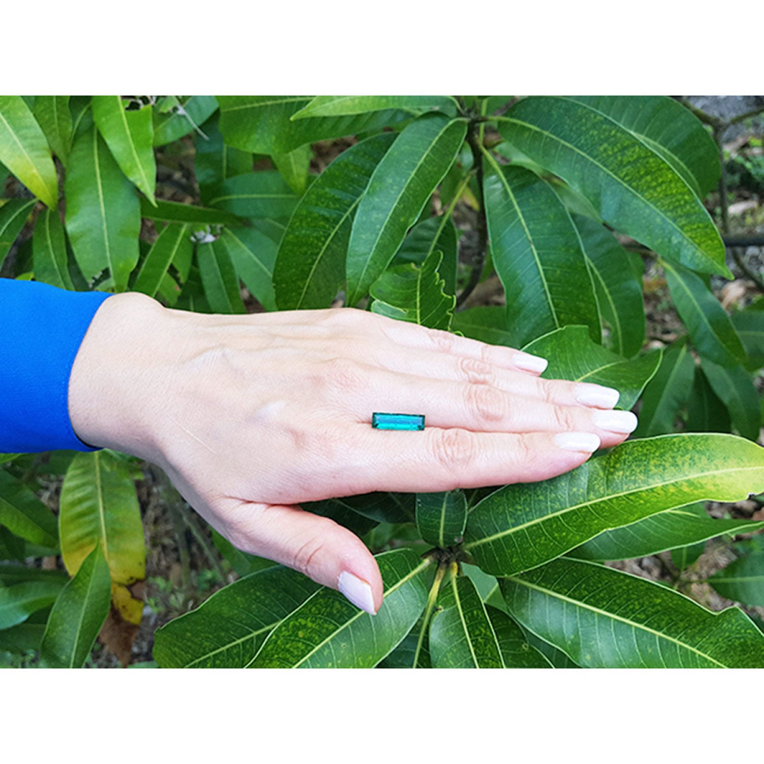 3.13 carat baguette cut Colombian emerald, eye-clean, sparkling bluish-green, on a hand against green leaves.