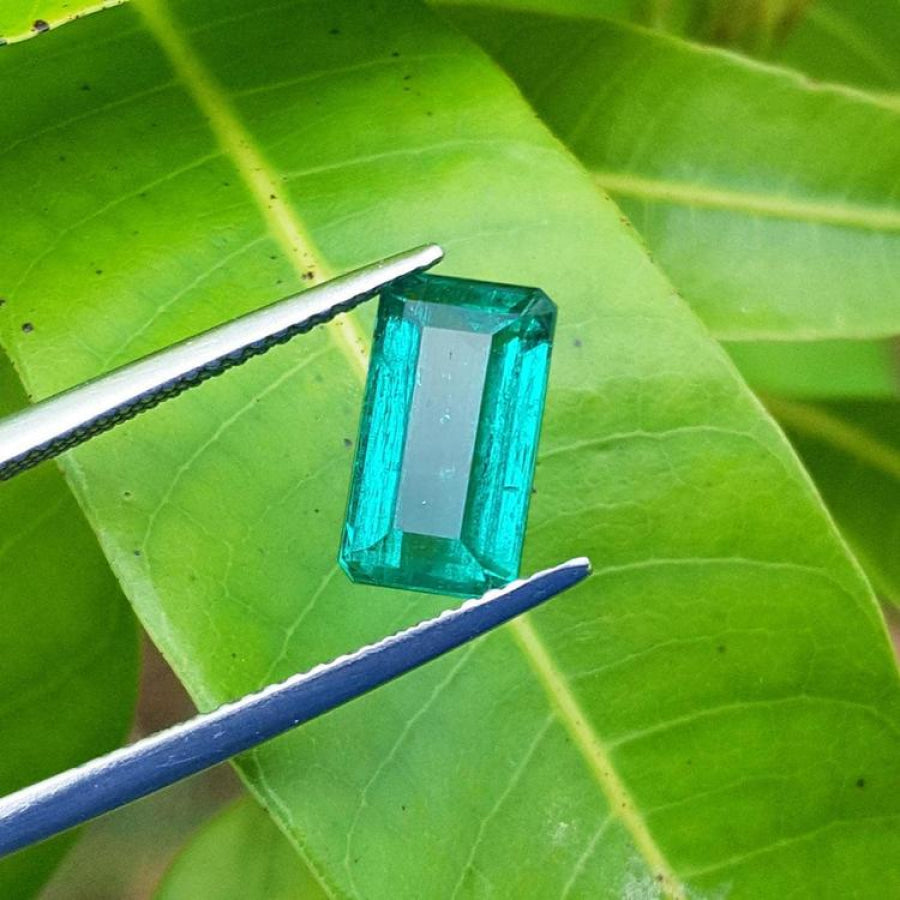 2.47 carat GIA certified loose Colombian emerald, sparkling bluish-green, held by tweezers on a green leaf.