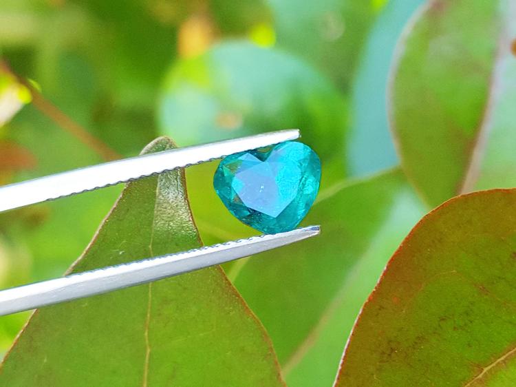 1.26 ct heart cut Colombian emerald, vibrant bluish-green, held by tweezers against green leaves.