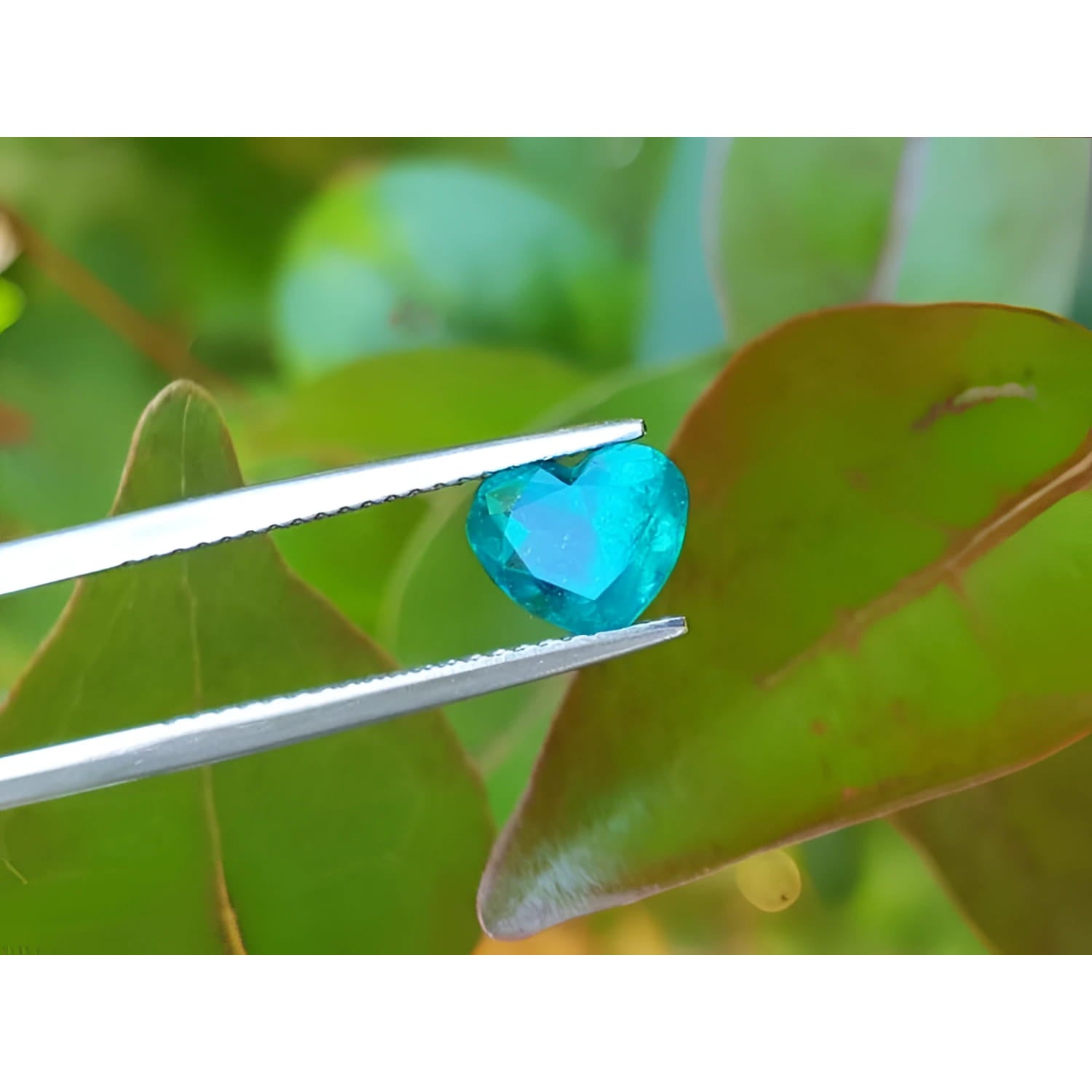 1.26 ct. vibrant bluish-green heart-cut Colombian emerald held by tweezers.