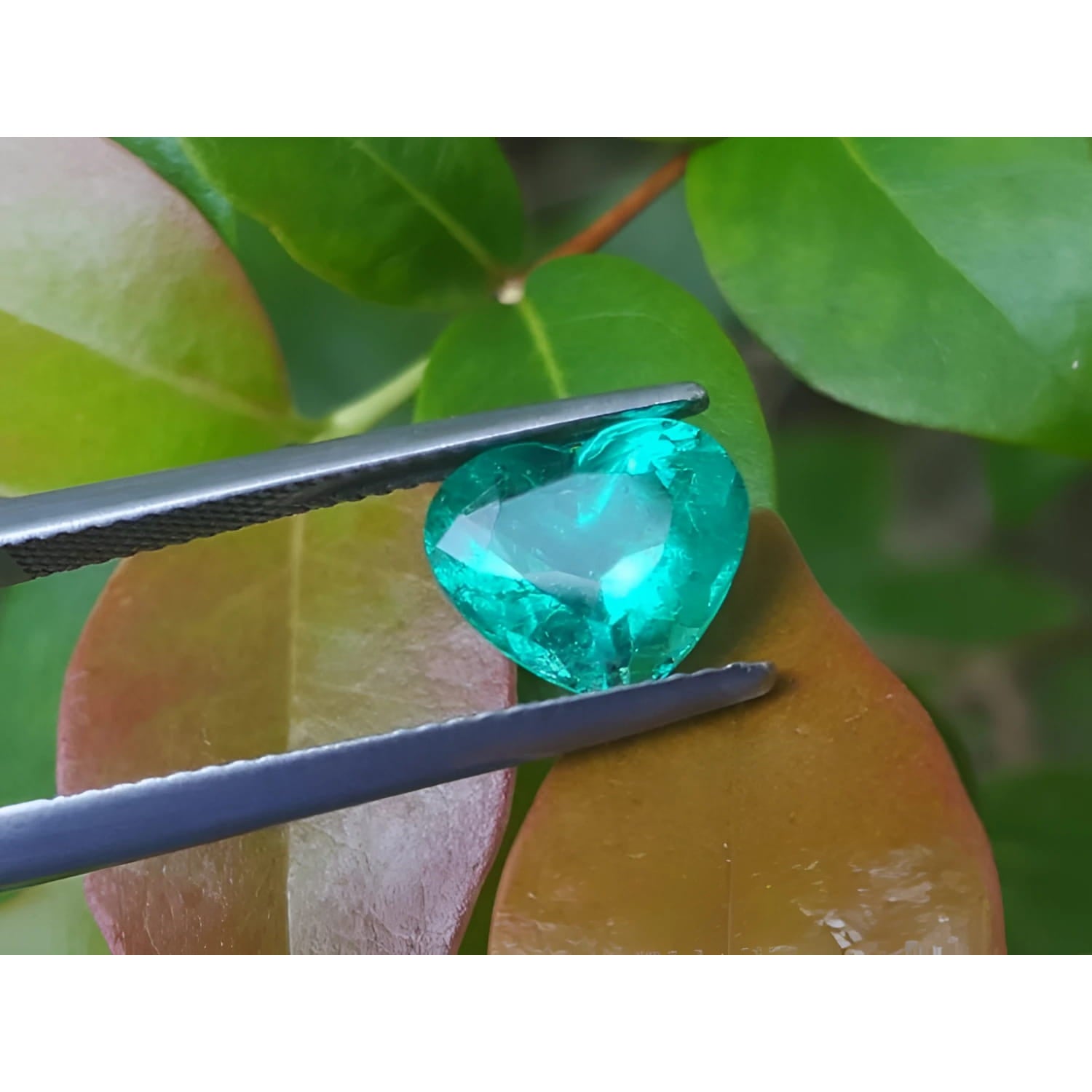 2.54 carat GIA certified heart cut Colombian emerald, sparkling bluish-green, held by tweezers.