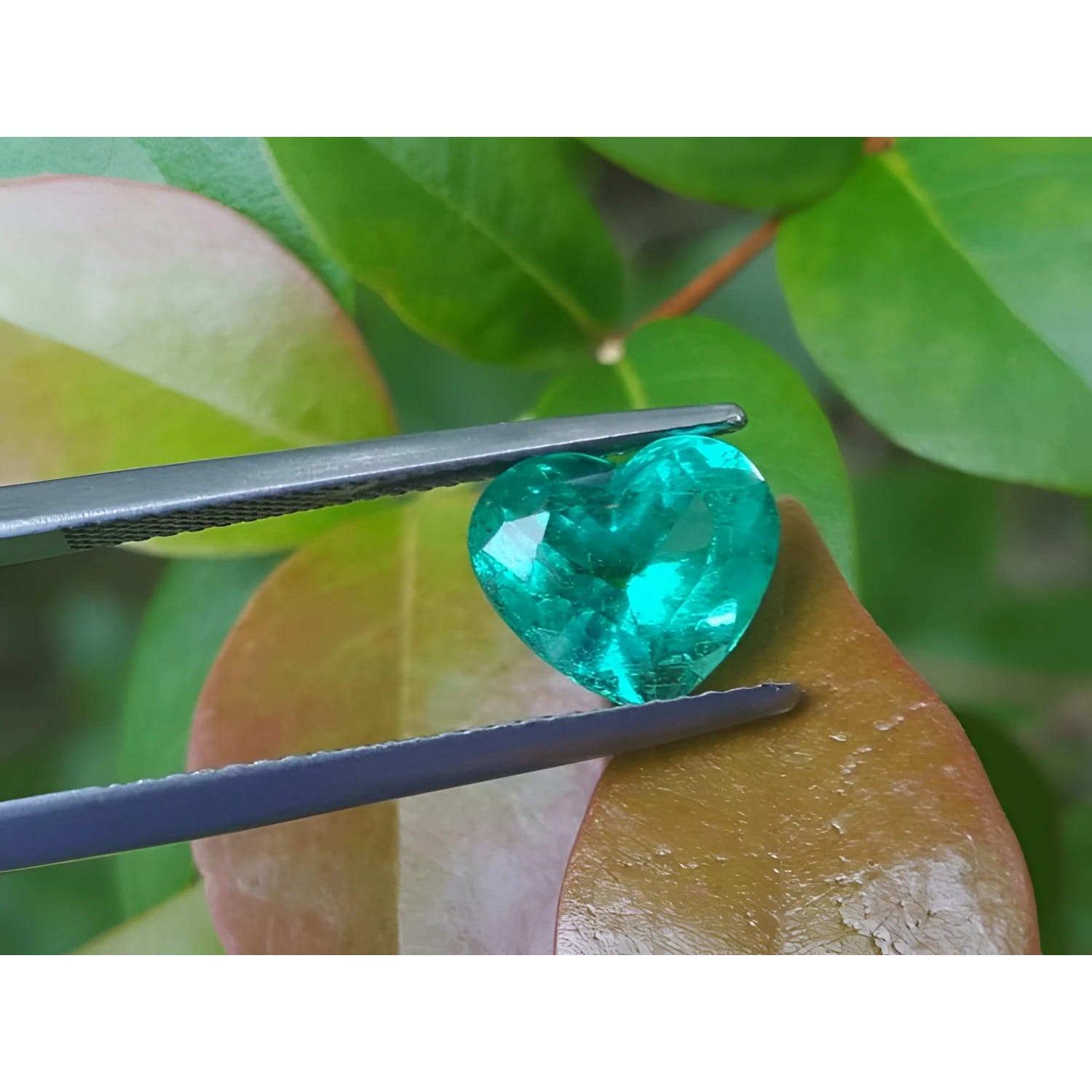 GIA certified 2.54 carat heart-cut Colombian emerald, sparkling bluish-green, held by tweezers.