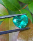 GIA certified heart cut natural colombian emerald, front table on tree leaf for compare color 