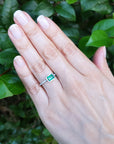 Hand wearing a natural emerald ring against a green leafy background.