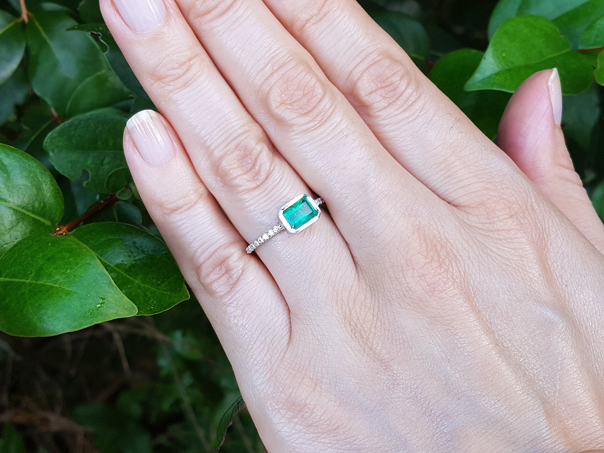 Hand wearing a ring with an emerald stone against a green leafy background.