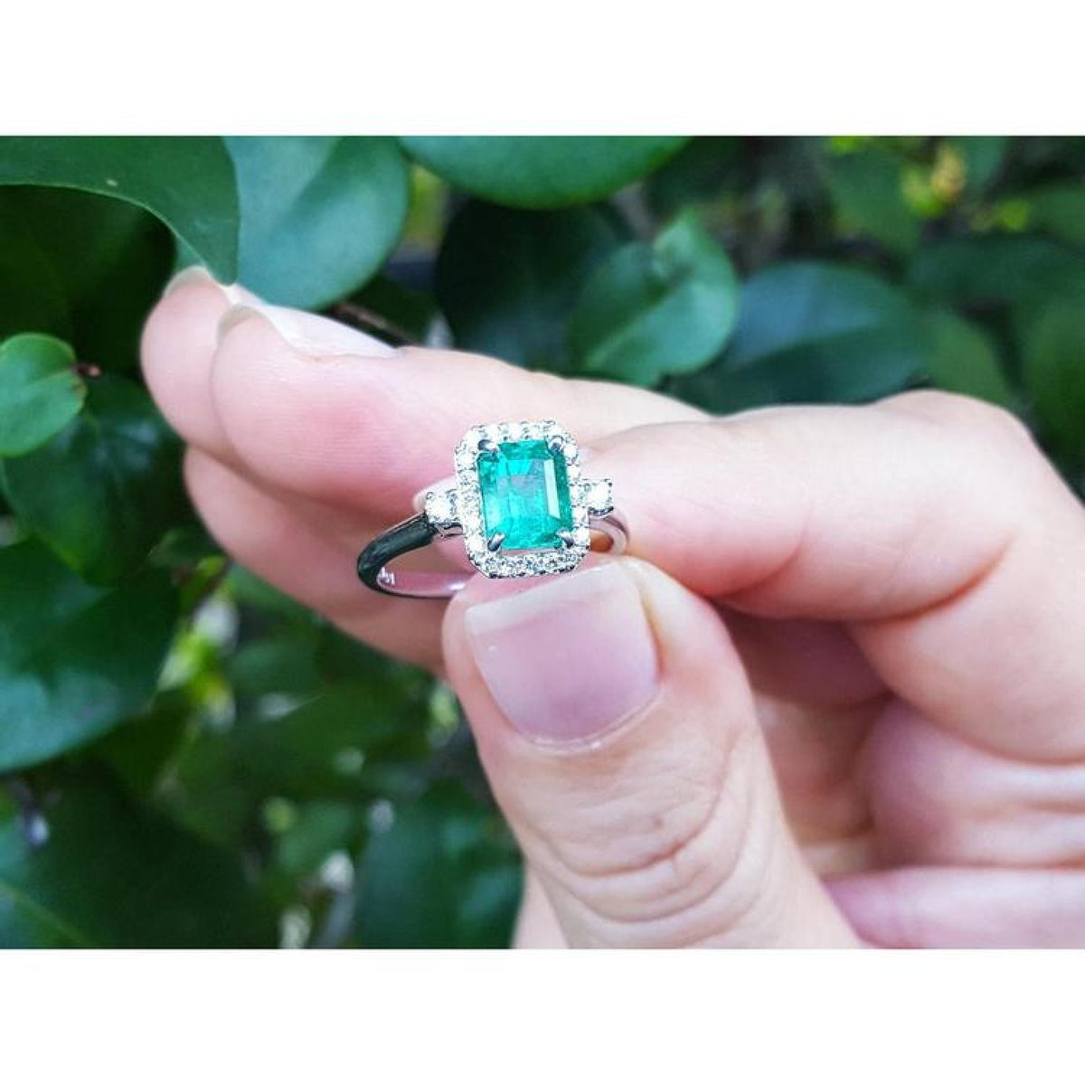 14K white gold emerald-cut emerald ring with diamond halo, held against green leaves.