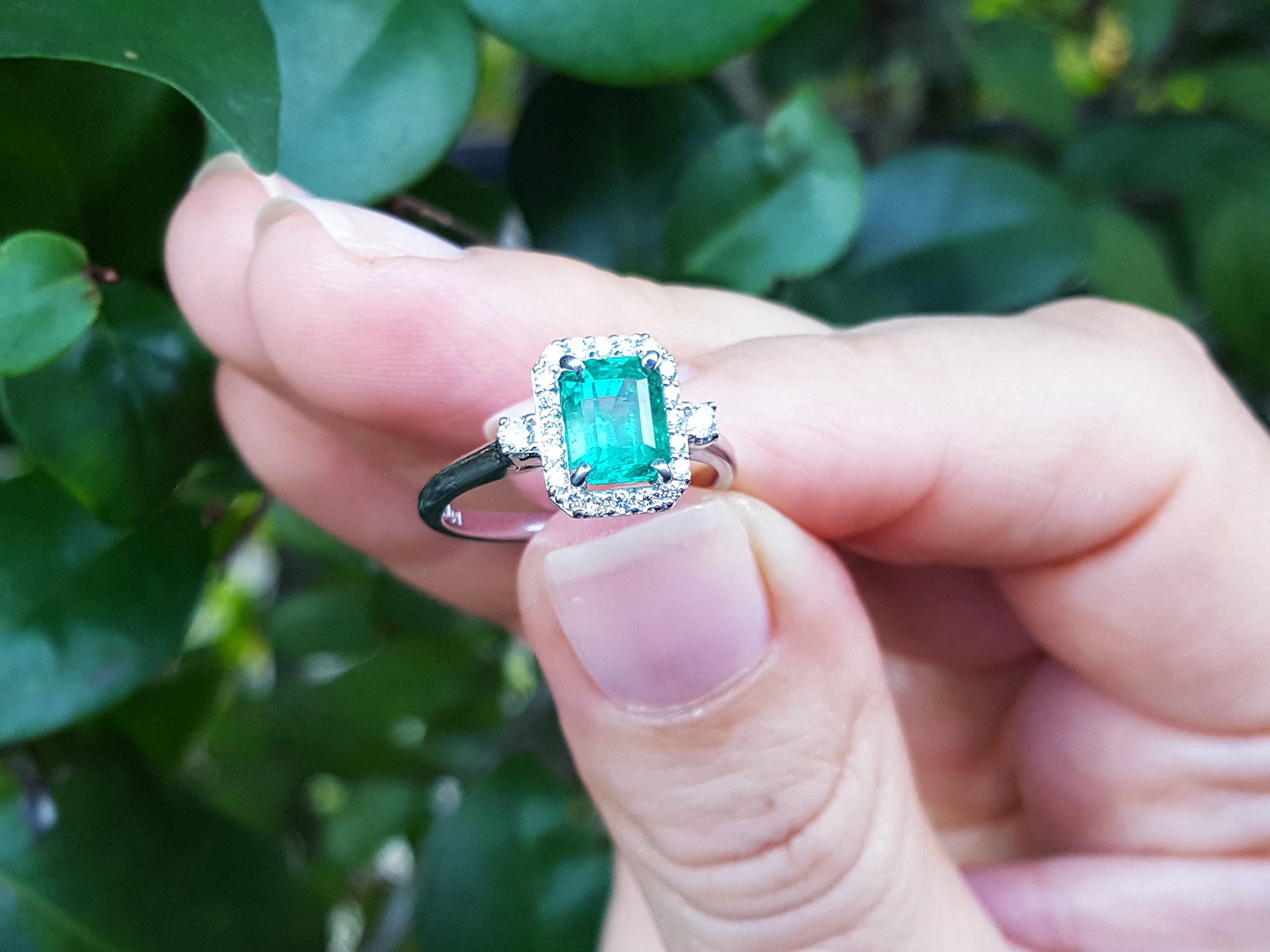 Hand holding an emerald engagement ring with a green gemstone against a green leafy background.