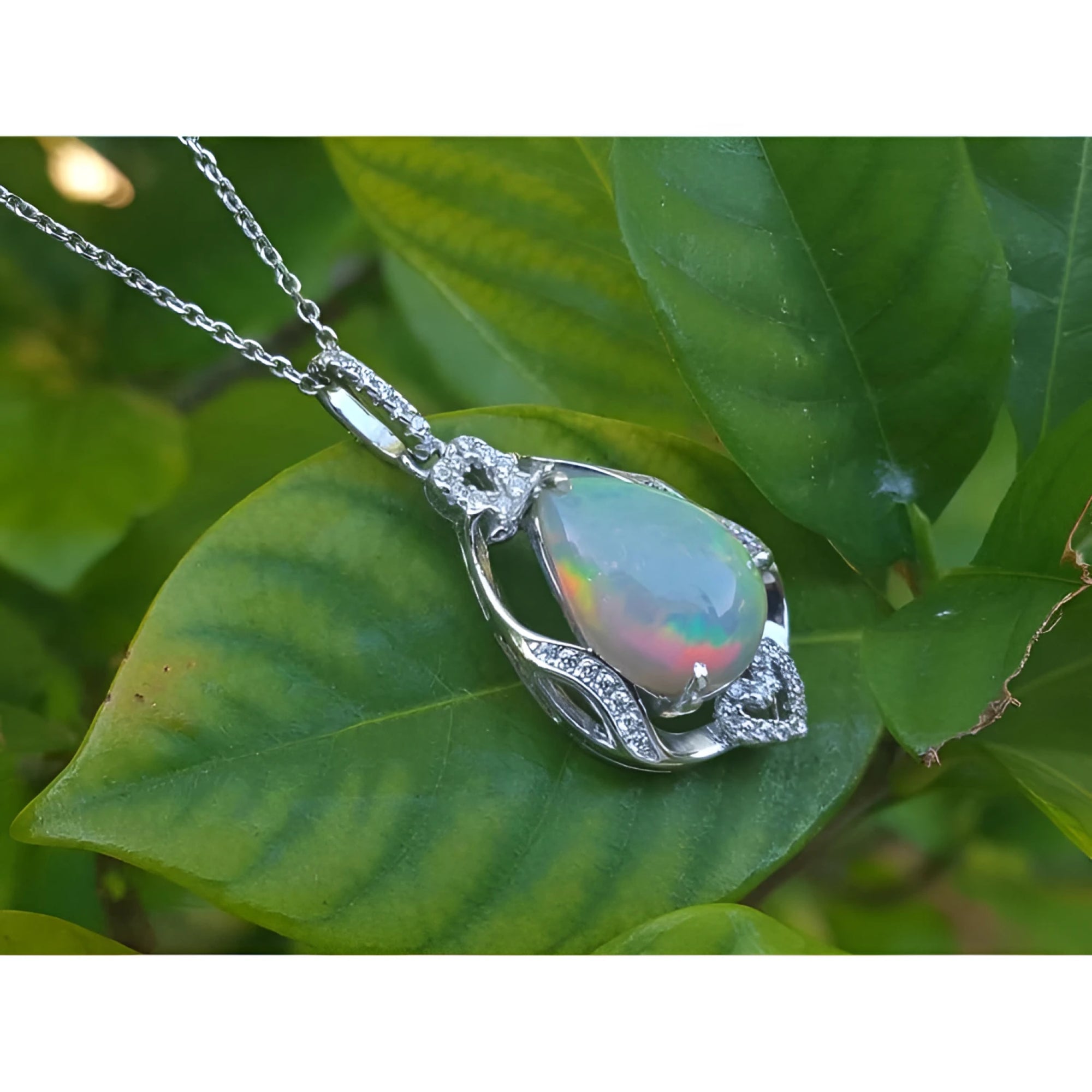 Pear-shaped rainbow Welo Ethiopian opal pendant in sterling silver with cubic zirconia accents on a leaf.