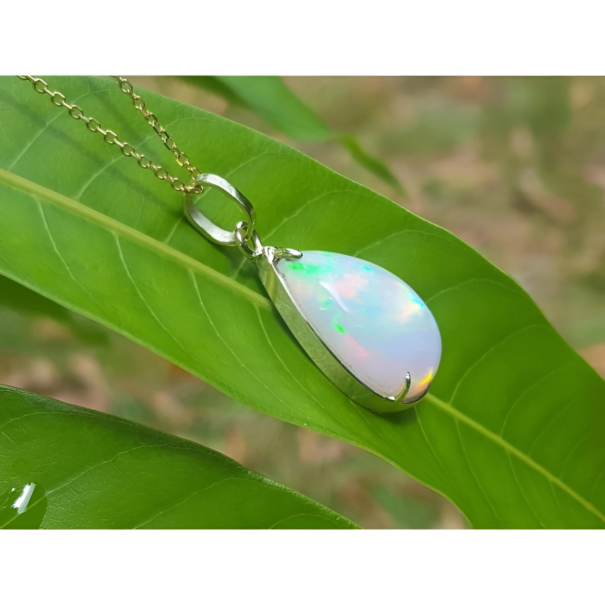 Radiant white Ethiopian Welo opal pendant in 14K solid yellow gold, displayed on a green leaf.