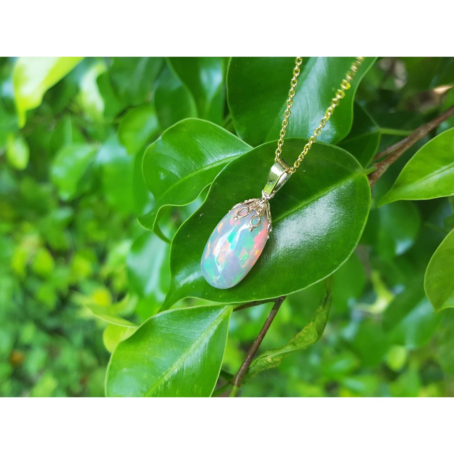 Opal pendant necklace on a green leaf with a blurred green foliage background