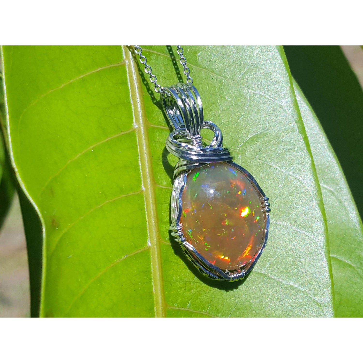 Opal pendant on a silver chain against a green leaf background.