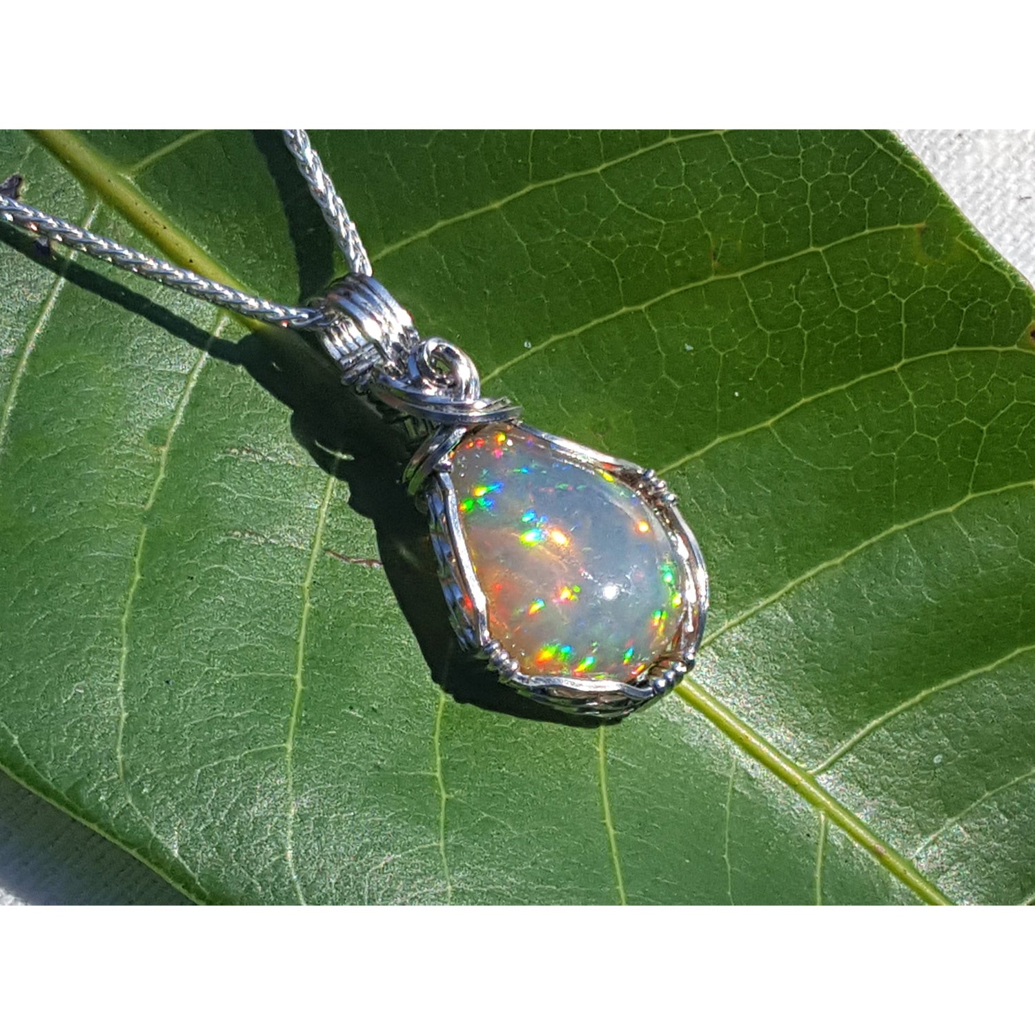 Opal pendant on a silver chain against a green leaf background