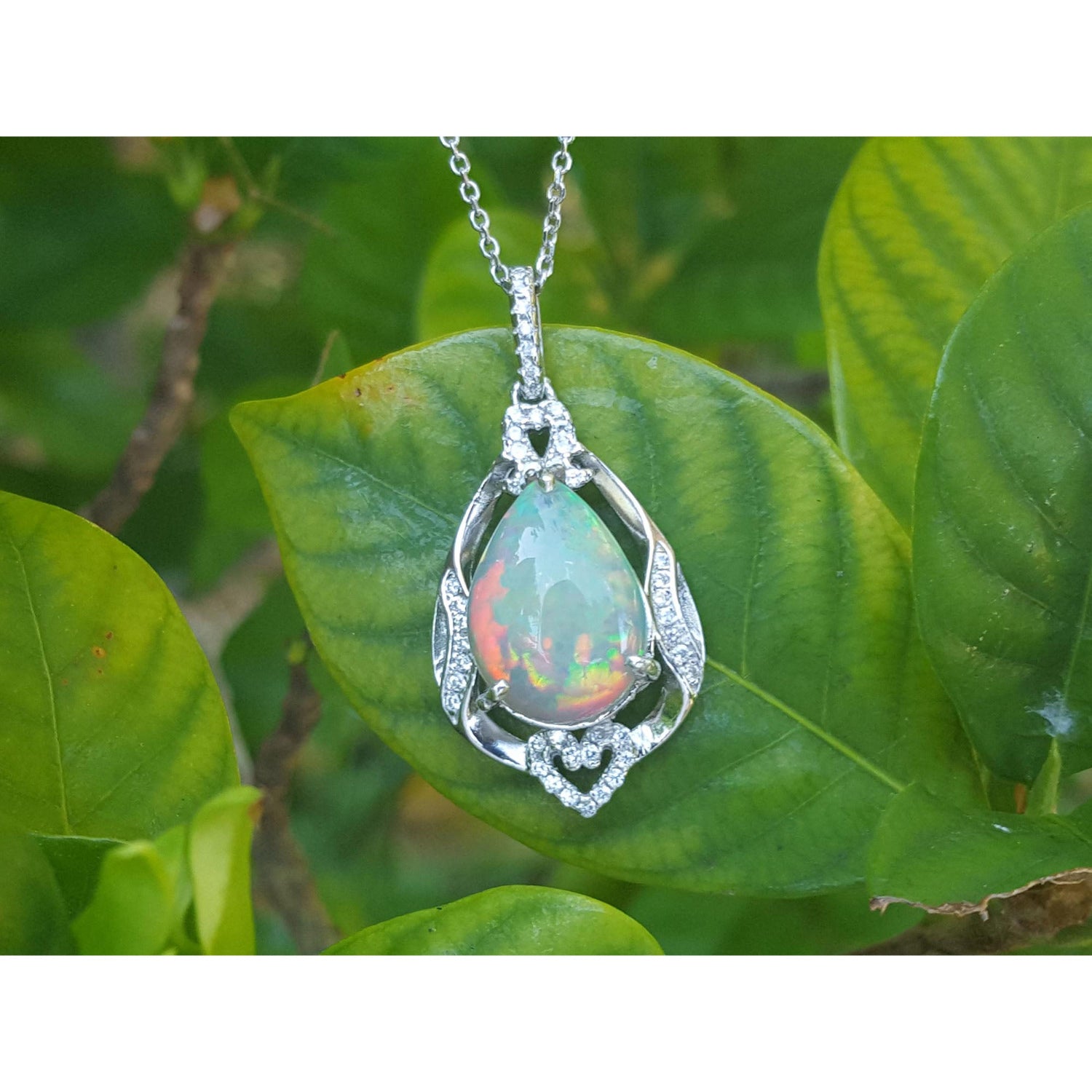 Opal pendant necklace on a silver chain with a green leaf background.