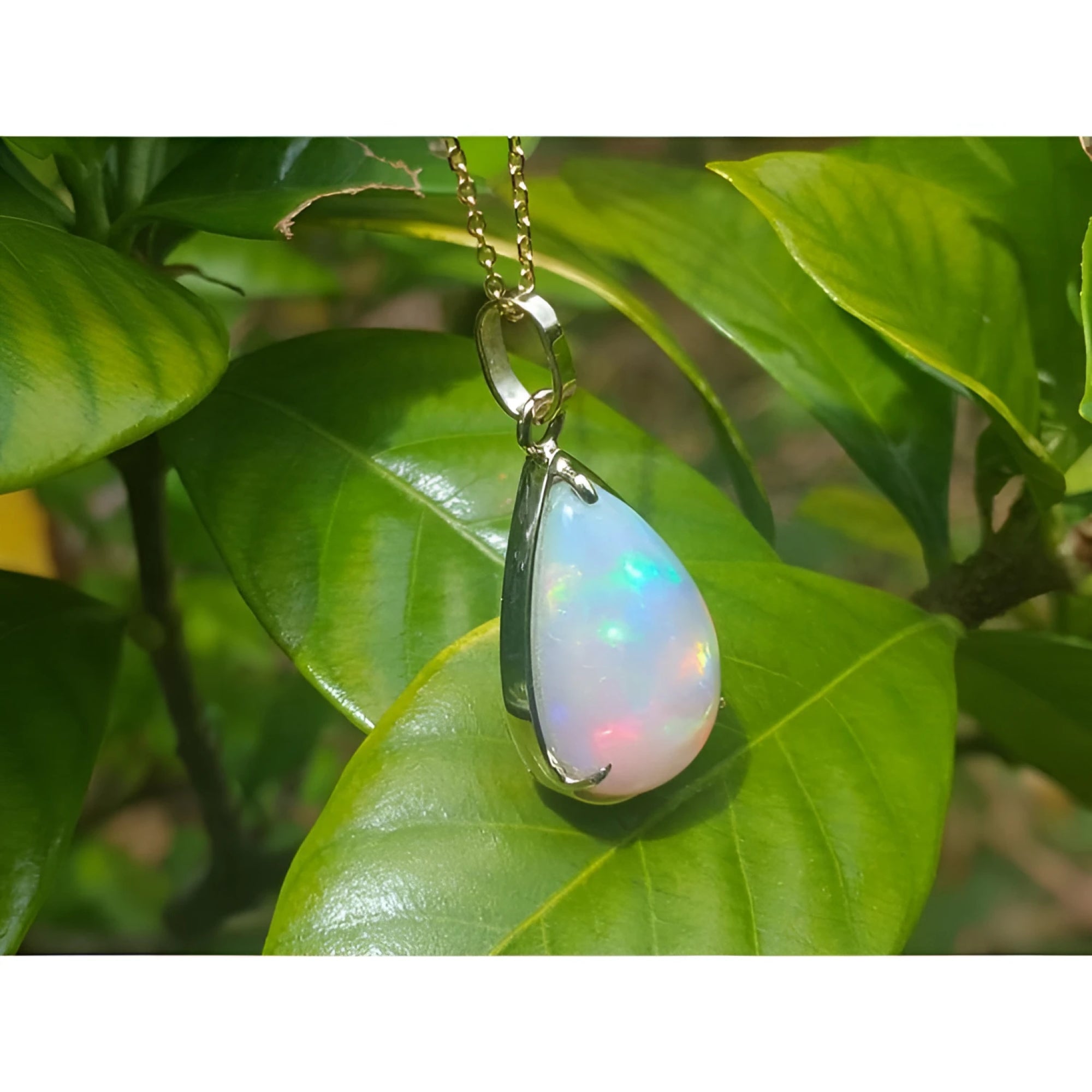 9.29 ct. Ethiopian opal pendant in 14K solid yellow gold, featuring a radiant white teardrop opal.