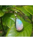 Opal pendant on a gold chain against a green leafy background.