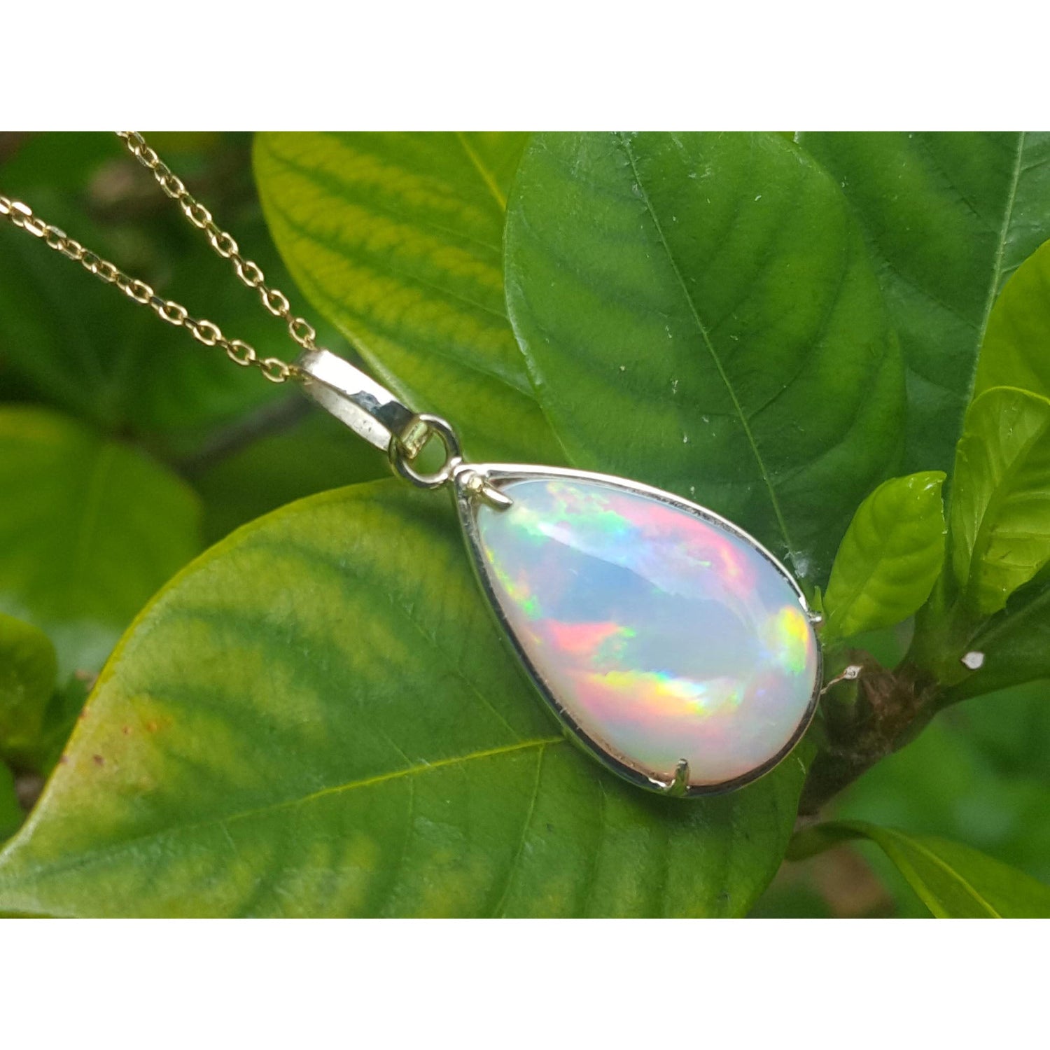 Opal pendant necklace on a gold chain against a green leaves background.