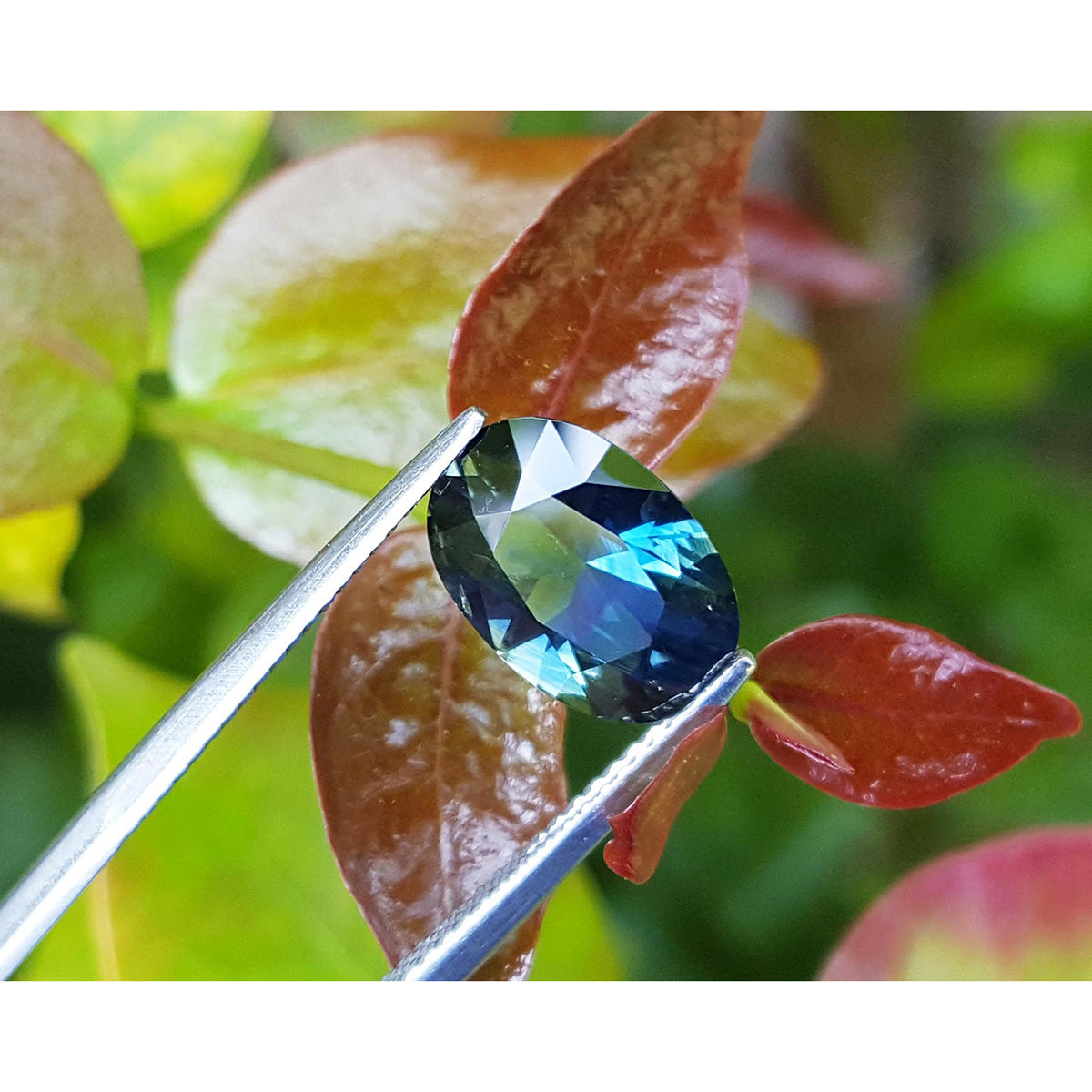 3.04 ct. Natural Australian Loose Sapphire Oval cut Sparkling Deep Blue for Sale in USA