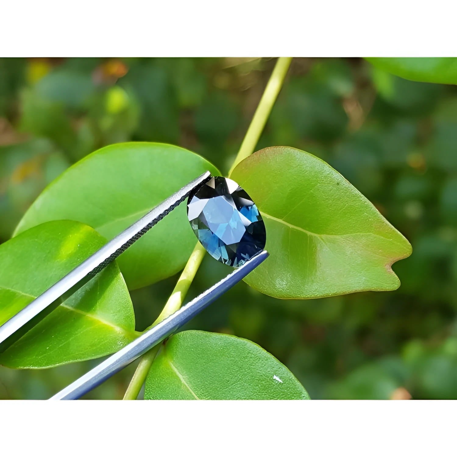 3.04 ct. deep blue greenish oval-cut natural Australian loose sapphire held by tweezers.