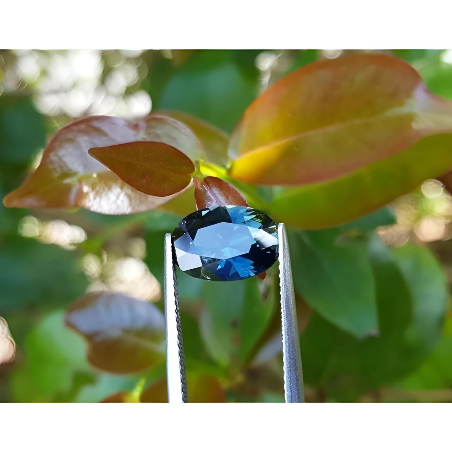 3.04 ct. natural Australian deep blue oval cut loose sapphire held by tweezers.