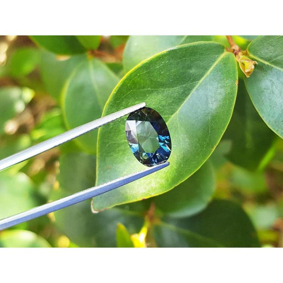 3.04 ct natural Australian deep blue-green oval sapphire held by tweezers against green leaves.