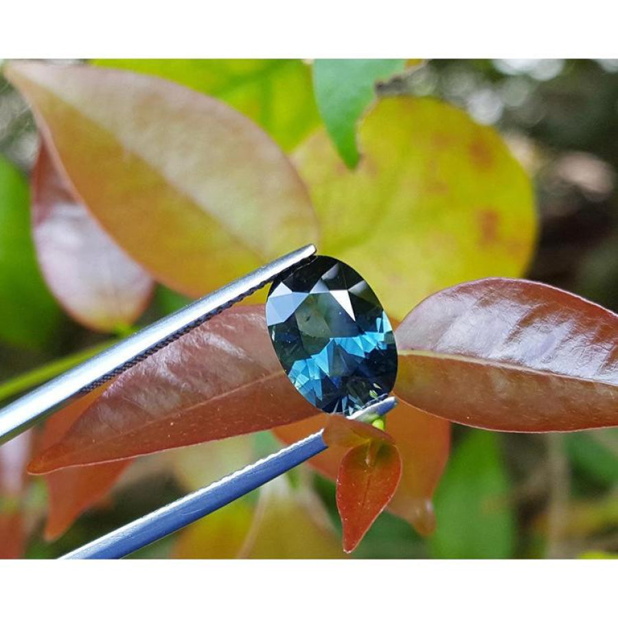 3.04 ct natural Australian deep blue oval cut loose sapphire held by tweezers against green leaves.