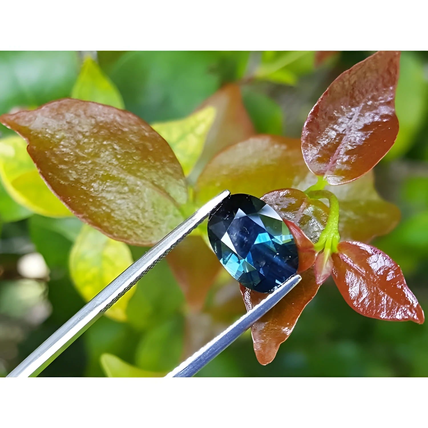 3.04 ct natural Australian deep blue greenish oval cut loose sapphire held by tweezers.