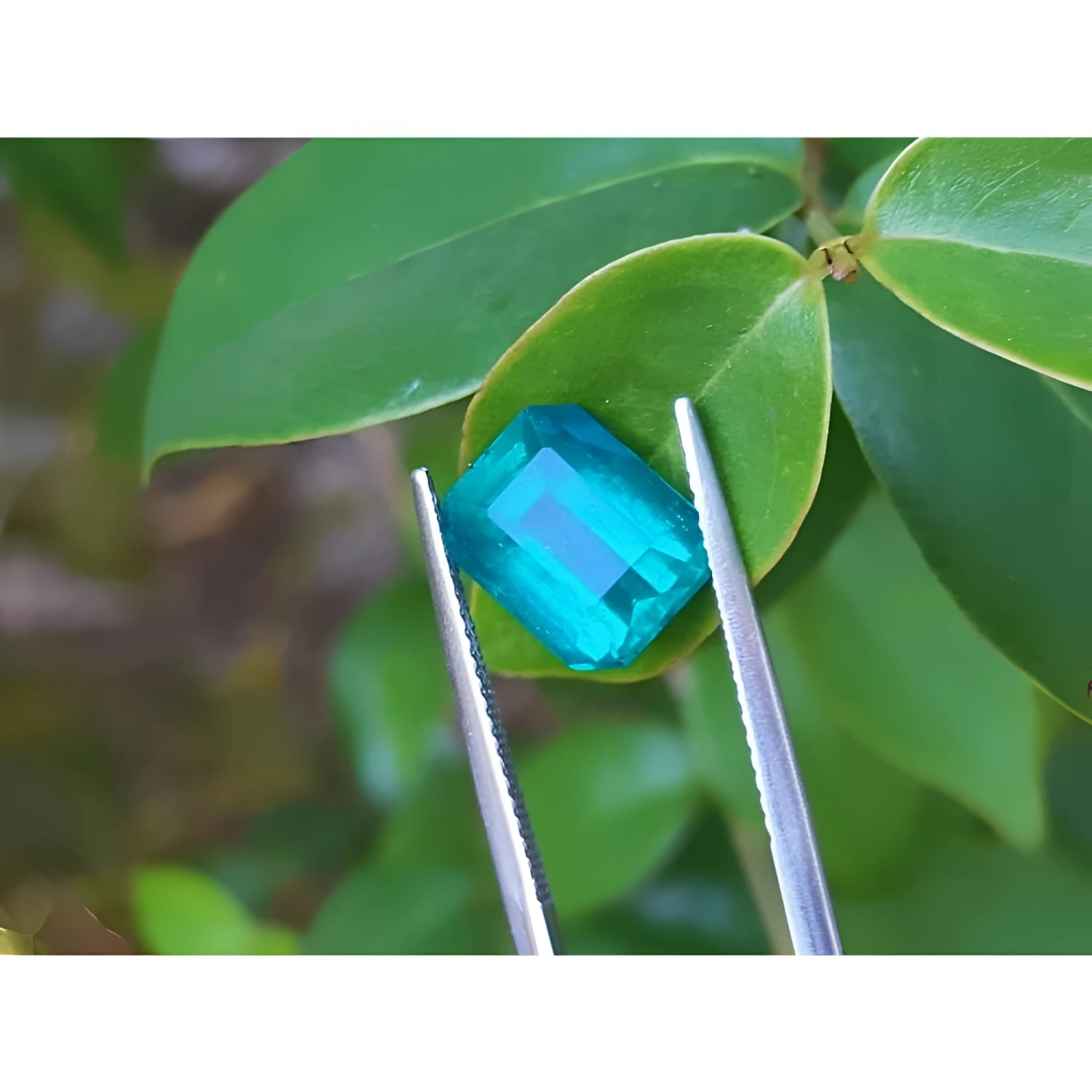 
GIA certified untreated 3.98 ct Muzo emerald, vibrant bluish-green, held by tweezers against green leaves.