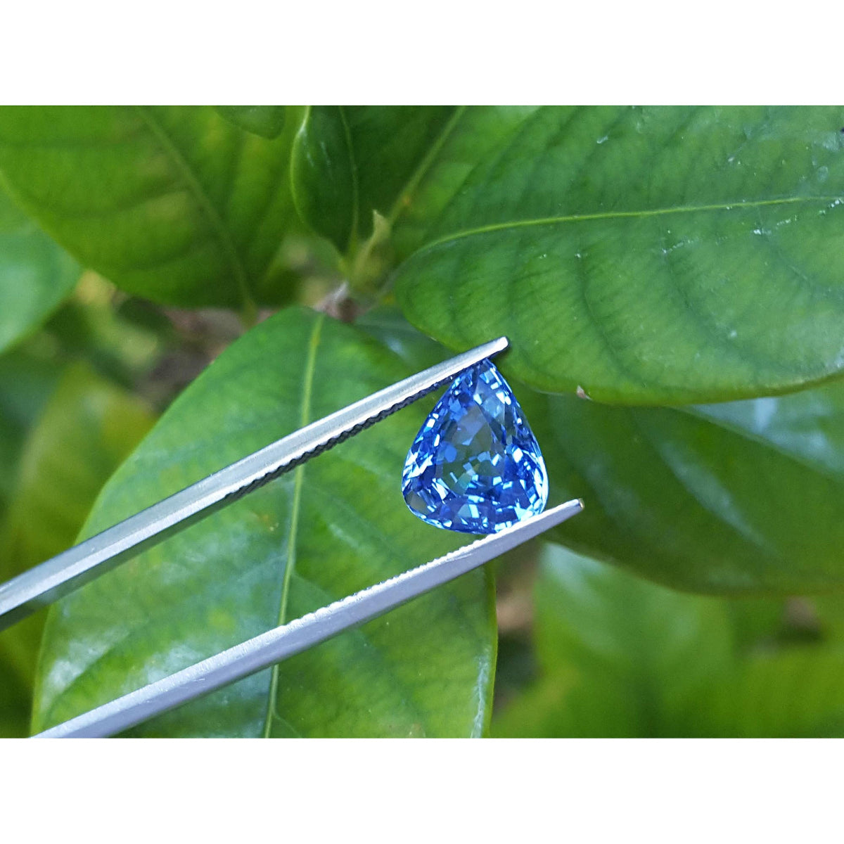 3.30 ct. Pear Shaped Loose Blue Sapphire Natural Gemstone Vibrant Medium Blue