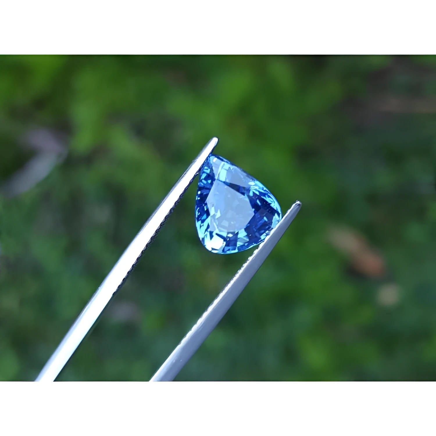 Vibrant pear-shaped blue sapphire gemstone held by tweezers against a green background.