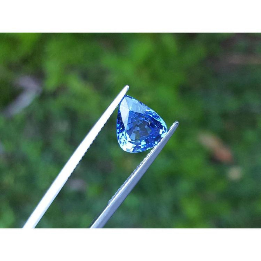 Vibrant medium blue pear-shaped natural sapphire gemstone held by tweezers against green foliage.