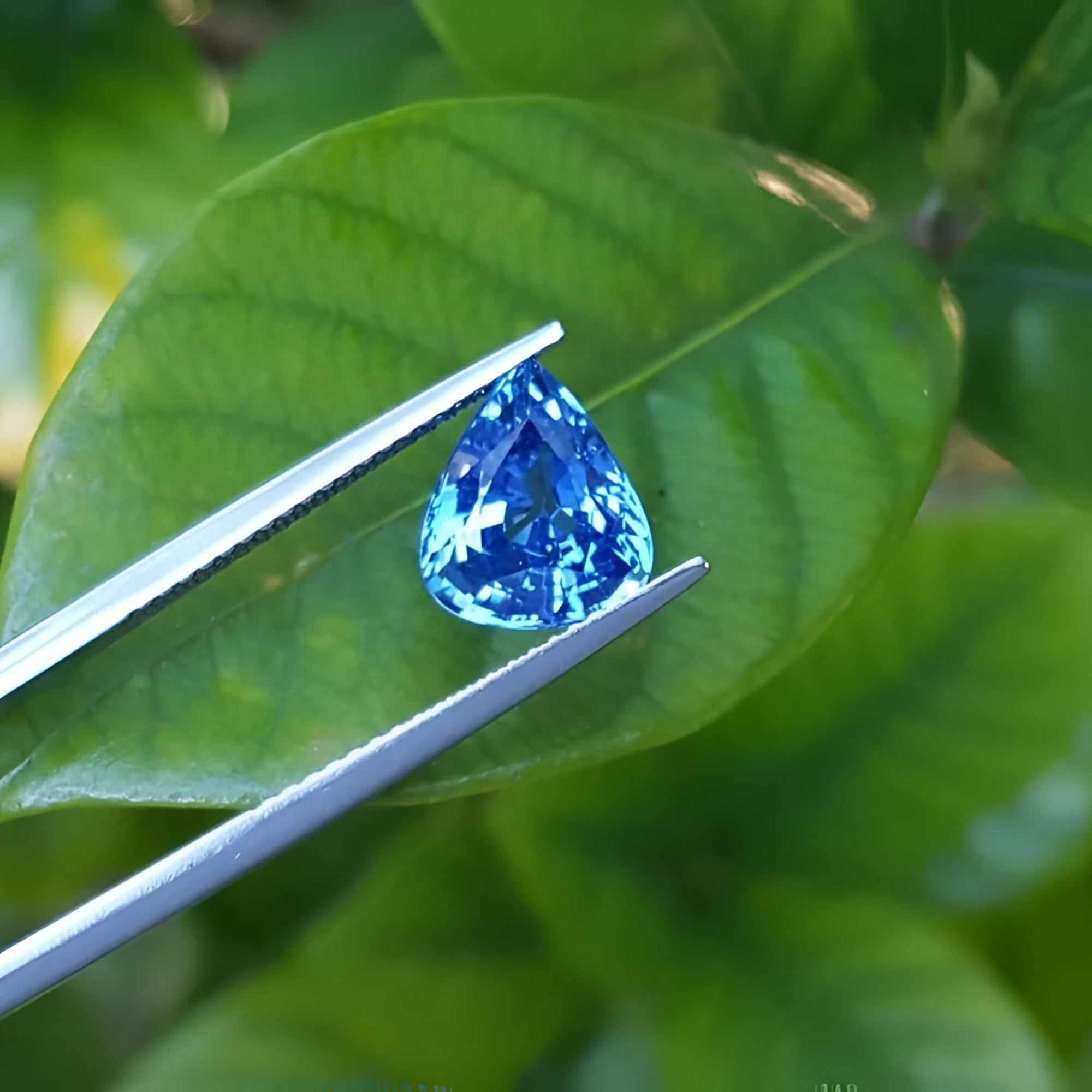 Blue teardrop-shaped blue sapphire gemstone exquisite blue-earcorn sparkling even color, perfect for a fine collection jewelry.