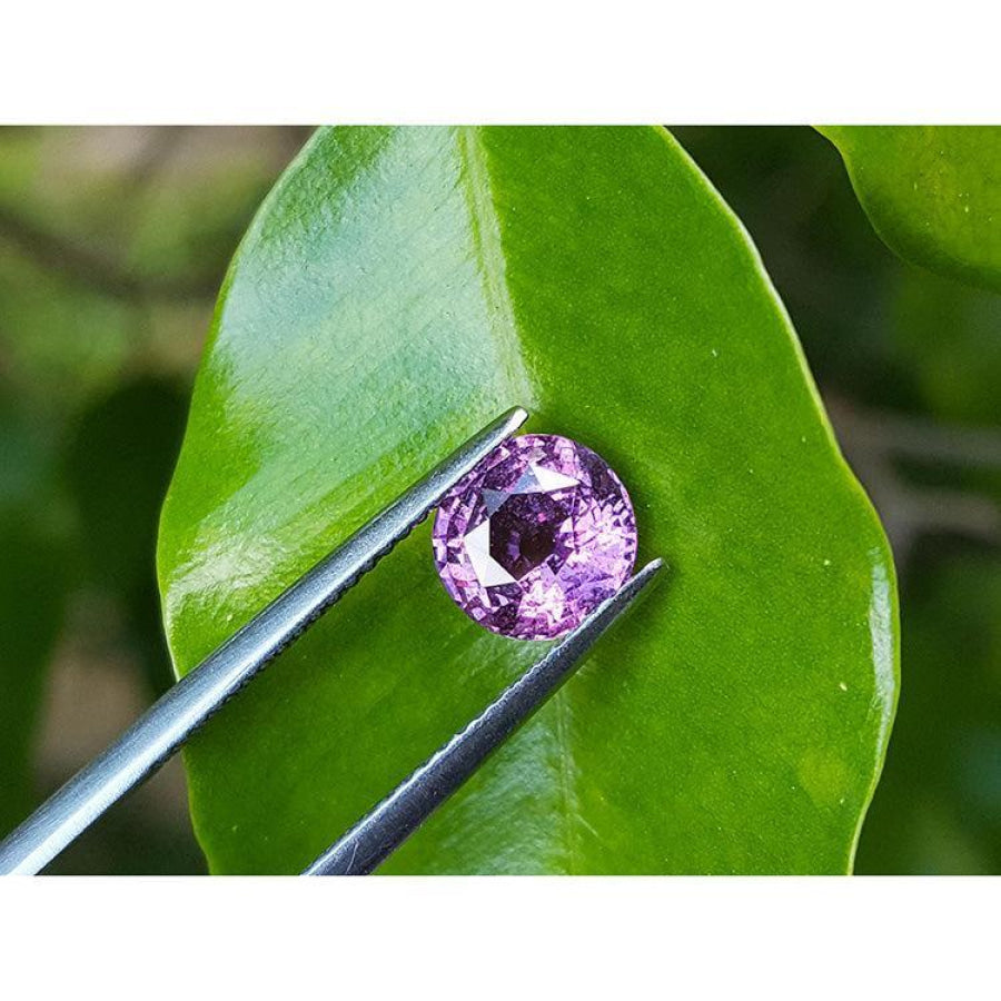 2.00 ct round cut natural pink sapphire held by tweezers against a green leaf.