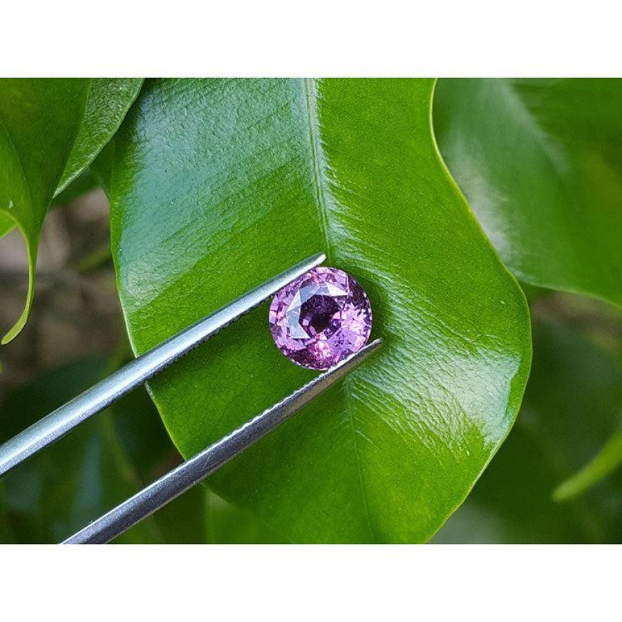 2.00 ct round cut natural pink sapphire loose stone held by tweezers against green leaves.