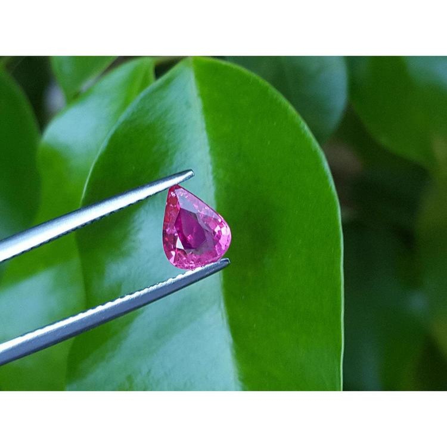 1.09 carat loose natural Burmese ruby, pear shape, sparkling medium red, held by tweezers over green leaves.