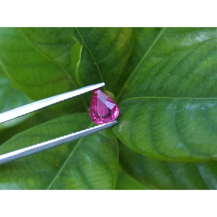 Sparkling 1.09 carat natural Burmese ruby, pear shape, held by tweezers against green leaves.