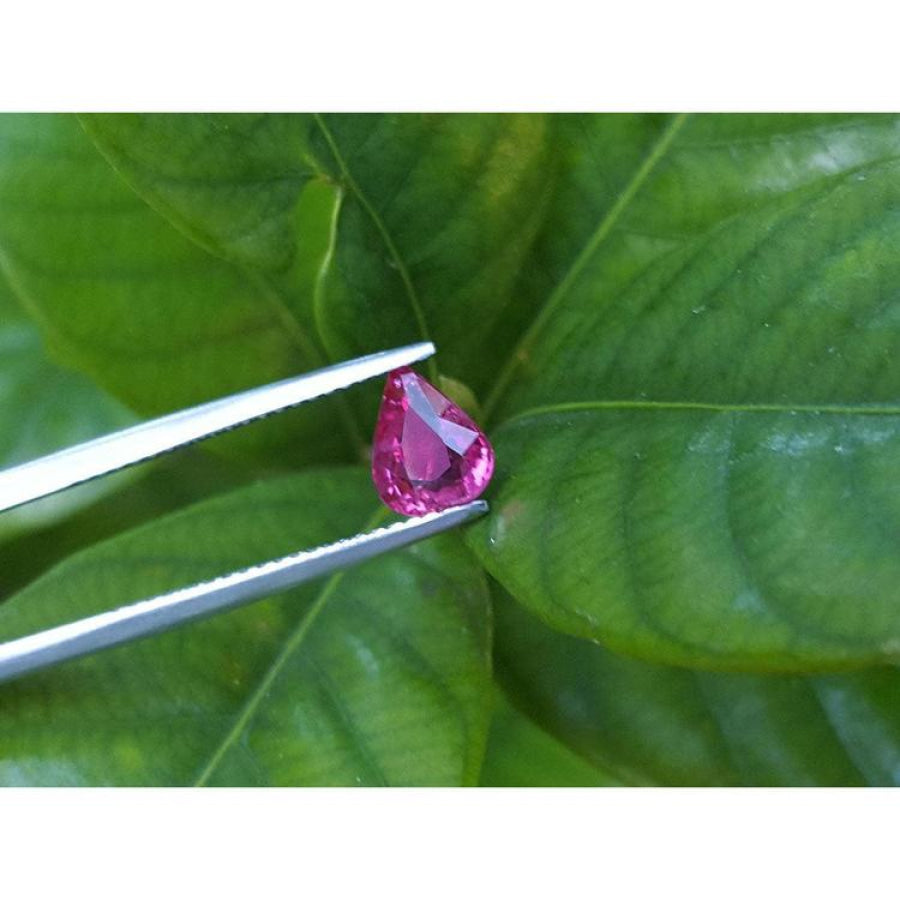 Sparkling 1.09 carat natural Burmese ruby, pear shape, held by tweezers against green leaves.