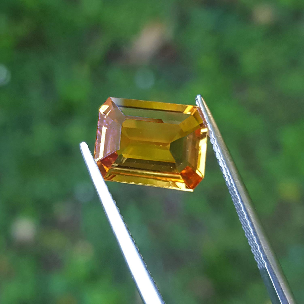 Loose natural sapphire emerald-cut Intense yellow hue, held by tweezers against a blurred green background