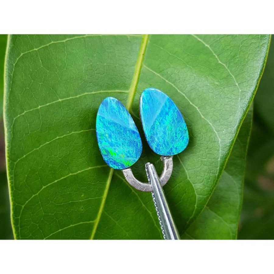 Pear-shaped, deep blue Australian doublet opals, 4.45 ct, held by tweezers on a green leaf.