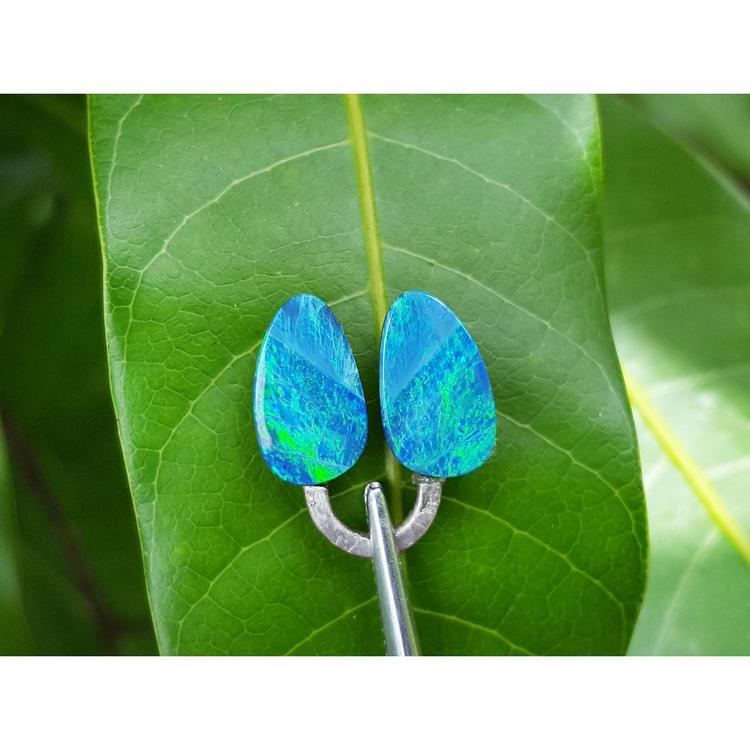 Pair of blue opal earrings on a green leaf