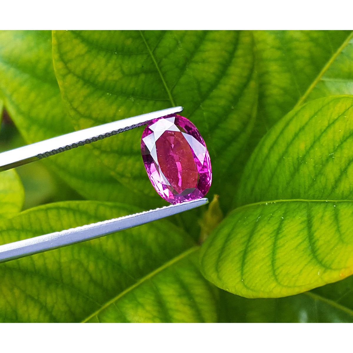 3.51 ct. Loose Natural Pink Sapphire Oval cut from Sri Lanka for Sale in USA