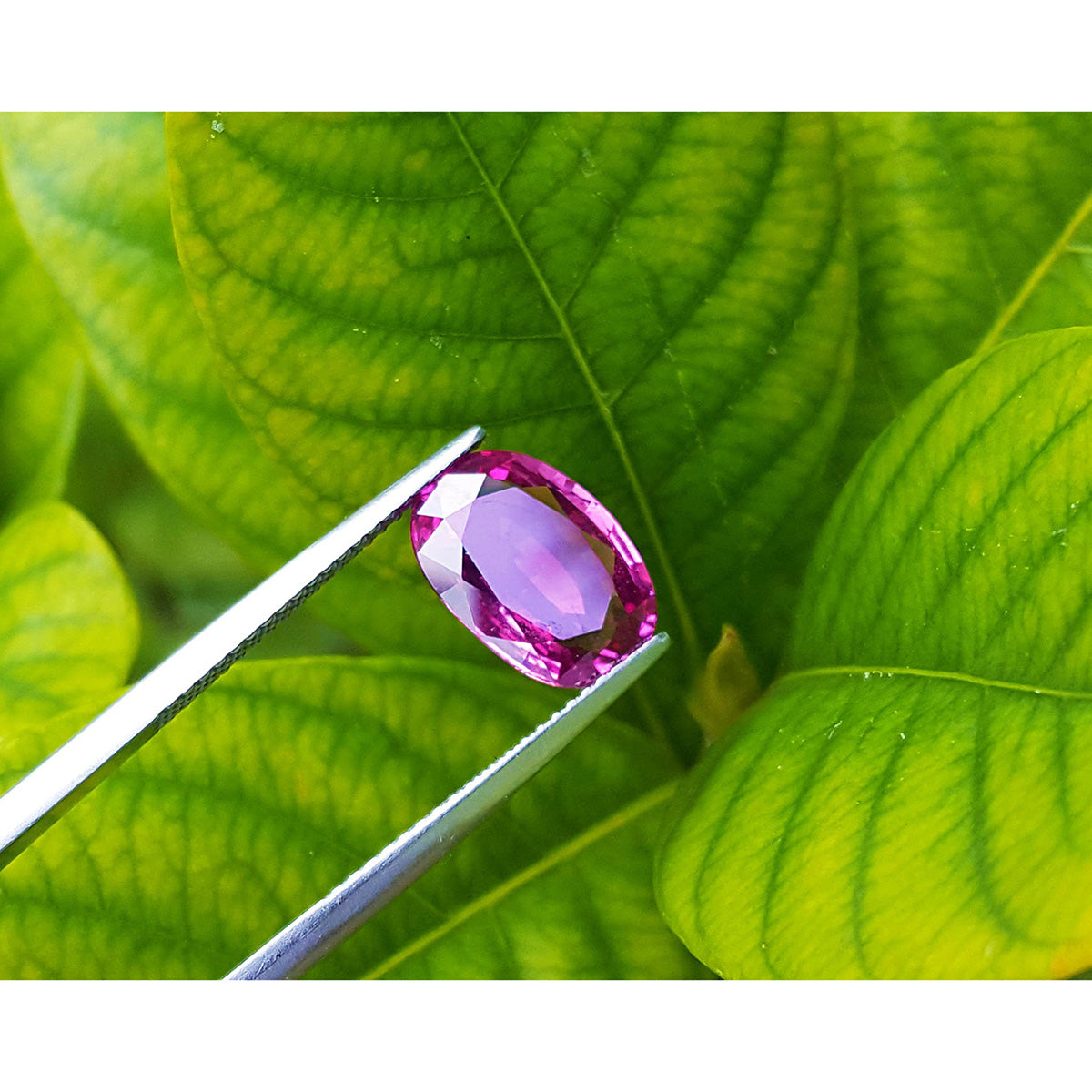 3.51 ct. Loose Natural Pink Sapphire Oval cut from Sri Lanka for Sale in USA