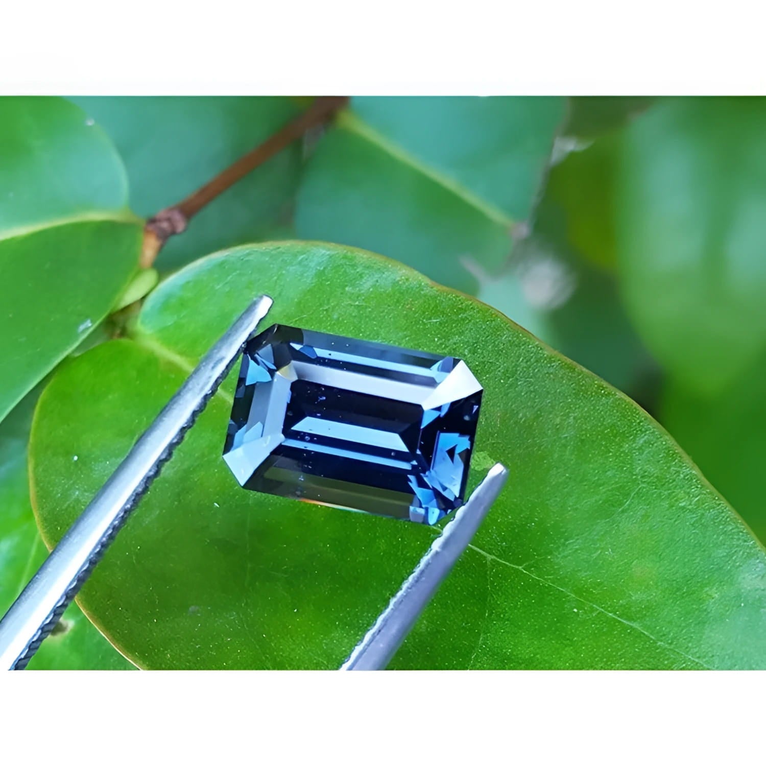 3.90 ct untreated GIA certified blue changing sapphire, rectangular emerald-cut, held by tweezers on a green leaf.