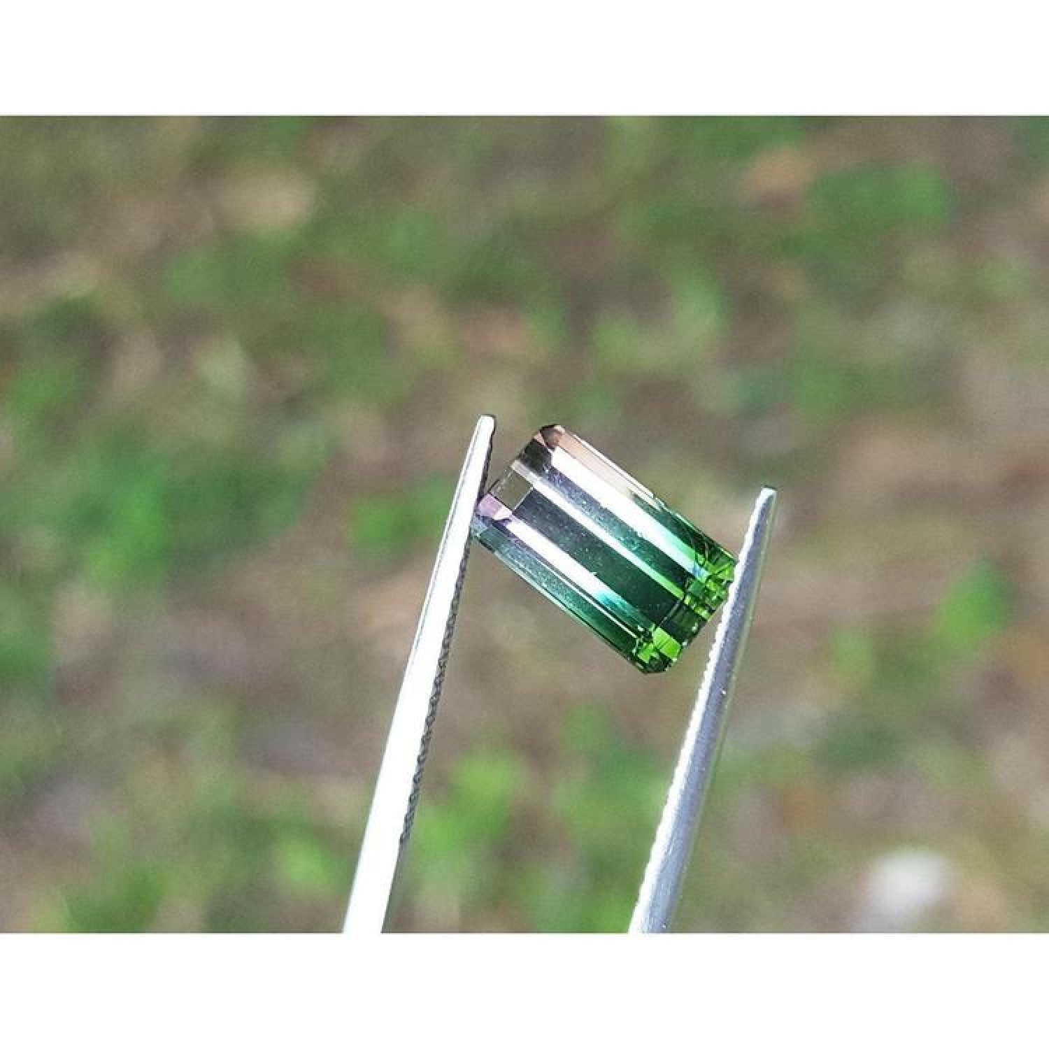 3.20 ct. loose Brazilian watermelon tourmaline, strong green with soft pink, held by tweezers.