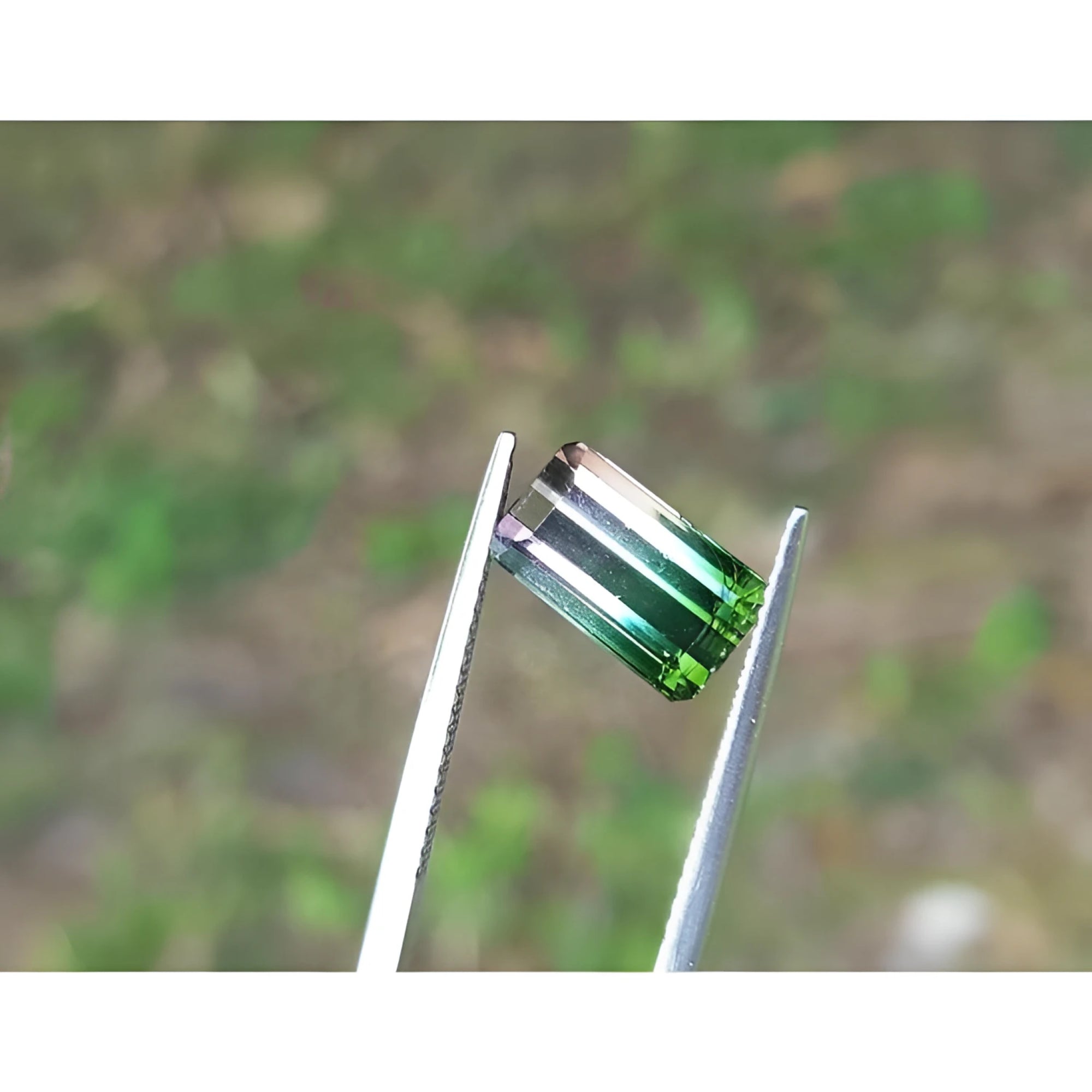 3.20 ct. loose Brazilian watermelon tourmaline, strong green with soft pink, held by tweezers.