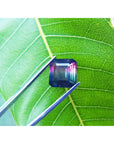 Genuine watermelon tourmaline held by tweezers on a green leaf.