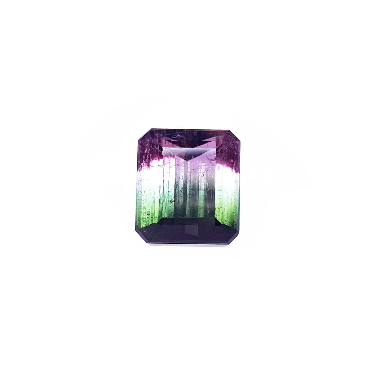 Rectangular purple and green tormaline with a forest scene inside on a white background.