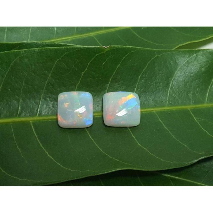 Pair of 5.45 ct. solid Australian square-cut loose opals with multicolor flash, on green leaves.