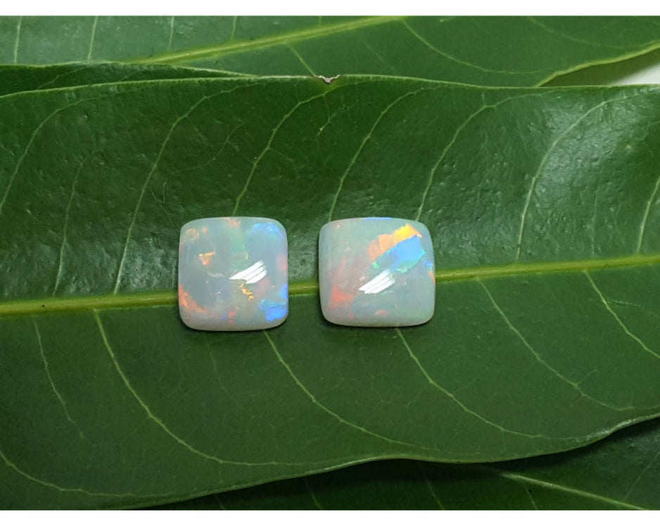 A display of colors of this matching pair of australian opals for earrings over a green leaf for contrast compare.